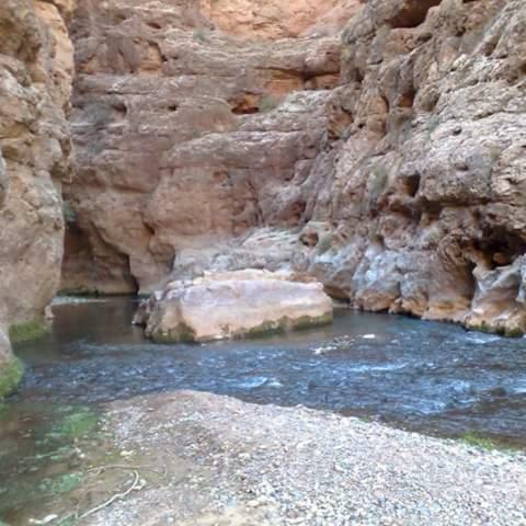 Auberge Oued Dades Boumalne المظهر الخارجي الصورة